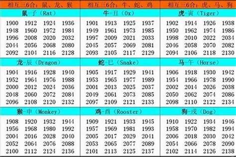 2002年農曆生肖|2002 年出生属什么生肖